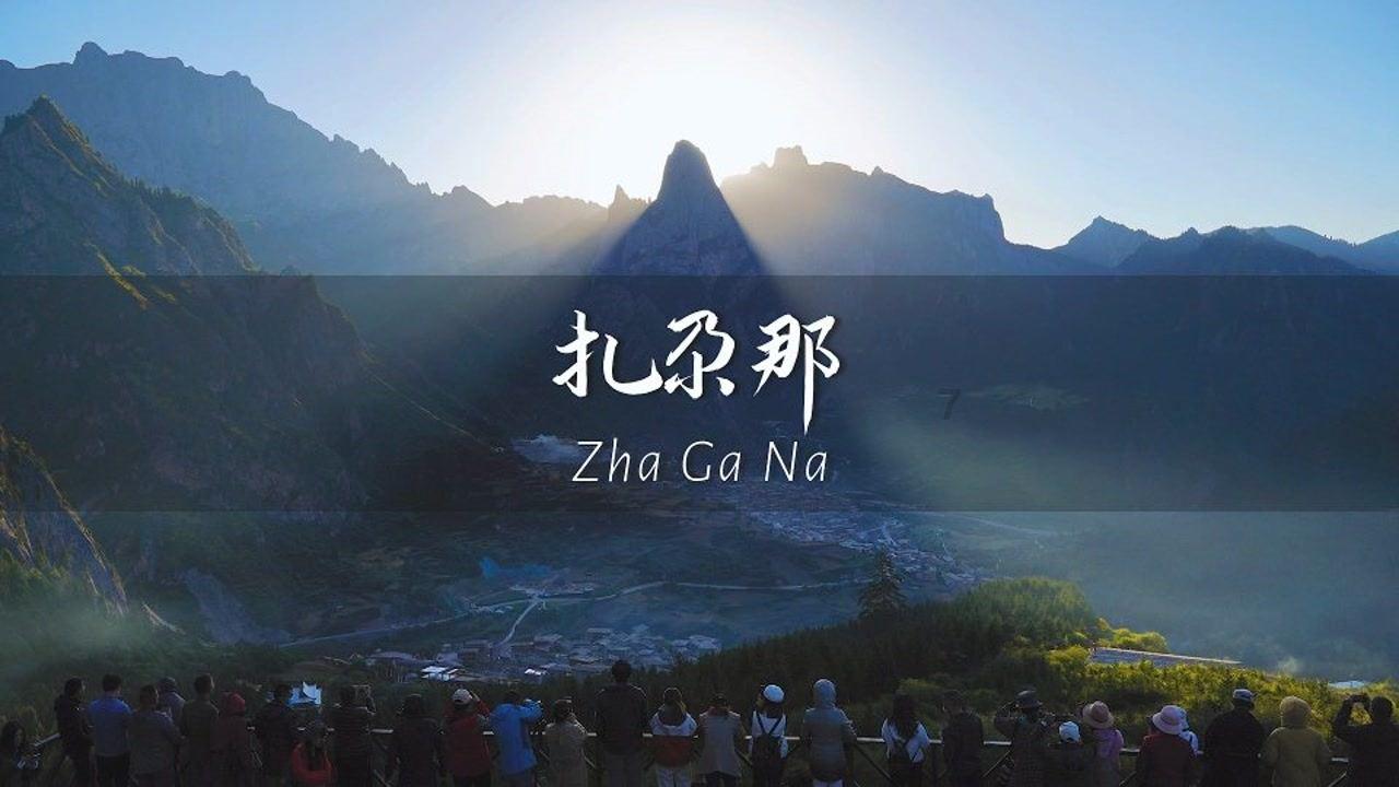 除虫大师